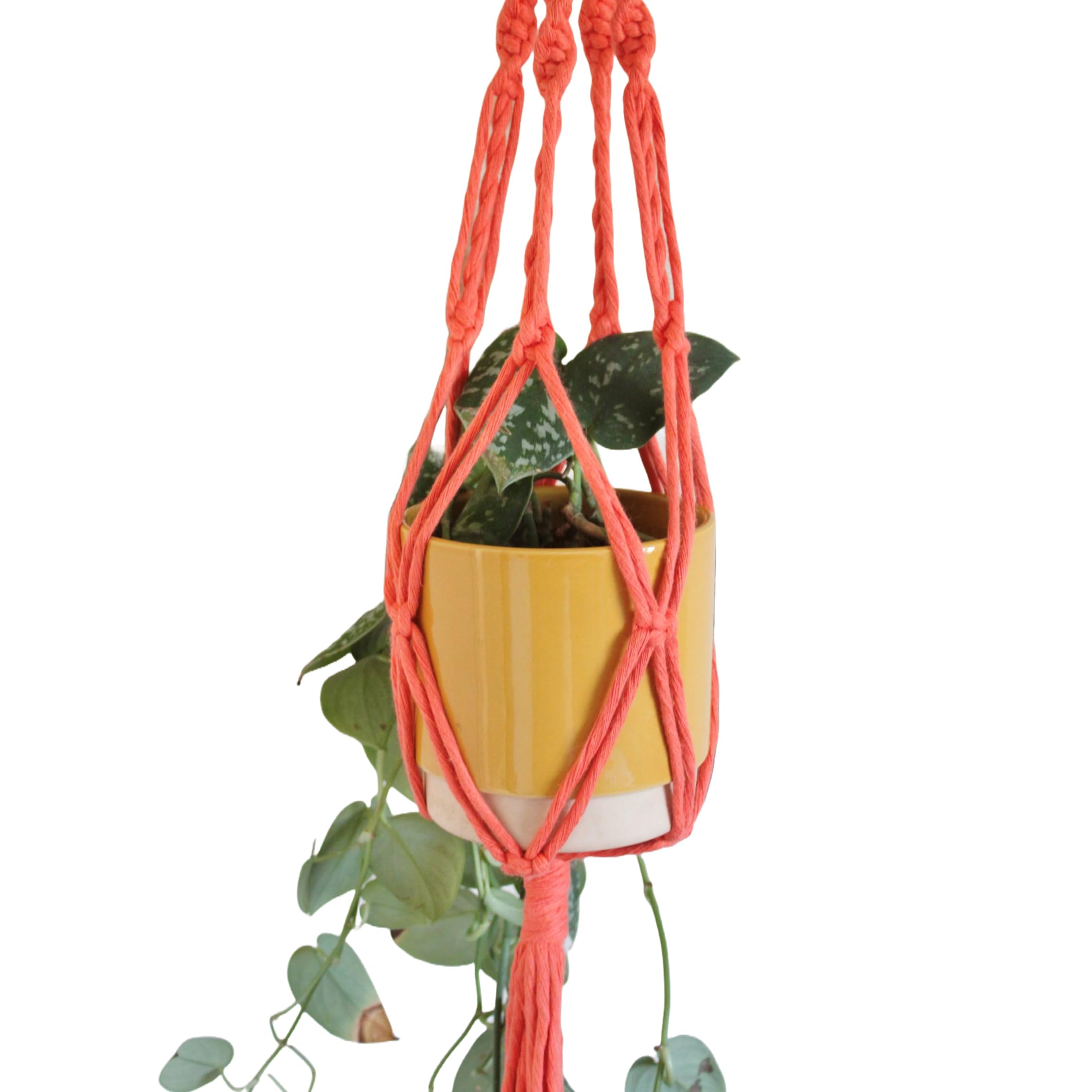 Piglet&Chestnut Coral Diy Plant Hanger Kit, Macrame Beginner Kit, Diy Craft Kit Learn To Macrame Uk Made,