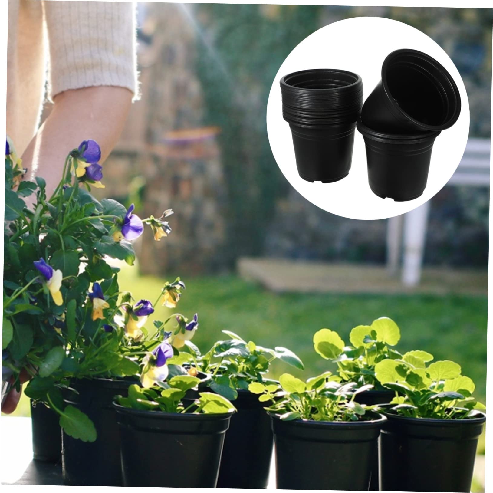 Sosoport 50pcs Poule De Semis en Plastique Fleur Pots De Croissance Home Succulent Nursery Pots Conteneurs