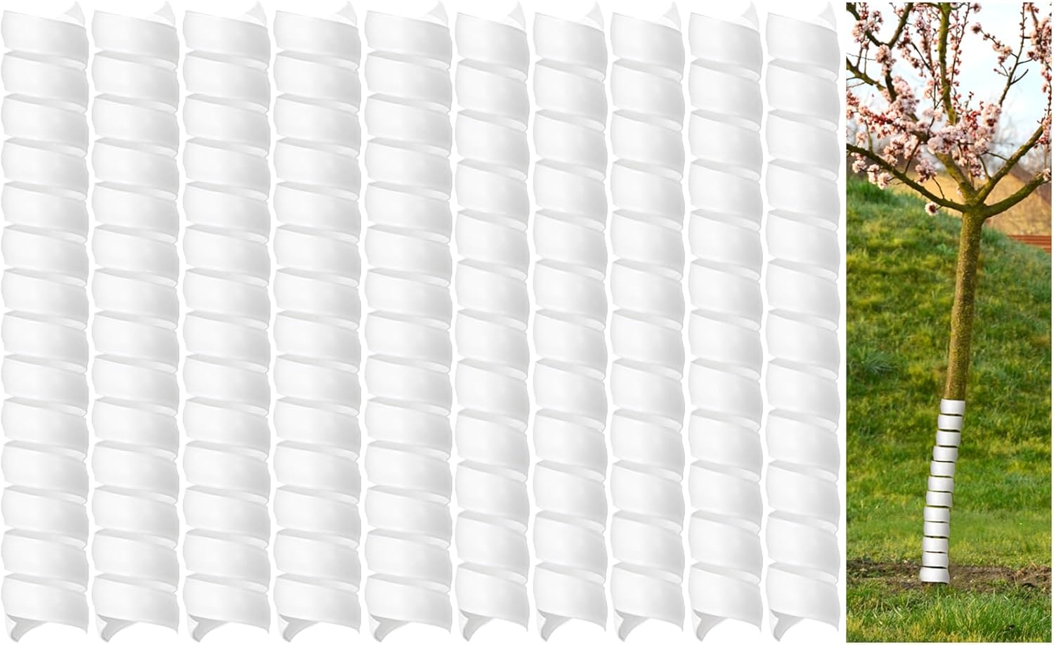 Fasmov 10-Pack Spiral Tree Trunk Protectors - 2 Sizes Plastic Guards for Saplings, Bark Protection from Rodents, Rabbits, Mowers & Weather