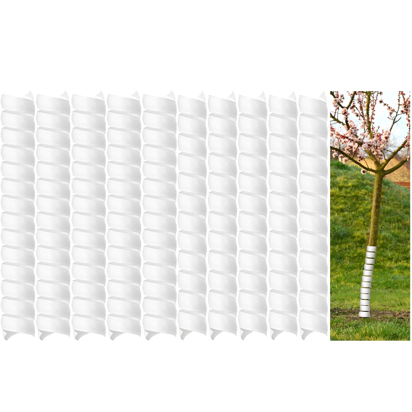 Spirale en plastique pour semis d'arbre Fasmov, idéale pour verger et jardin