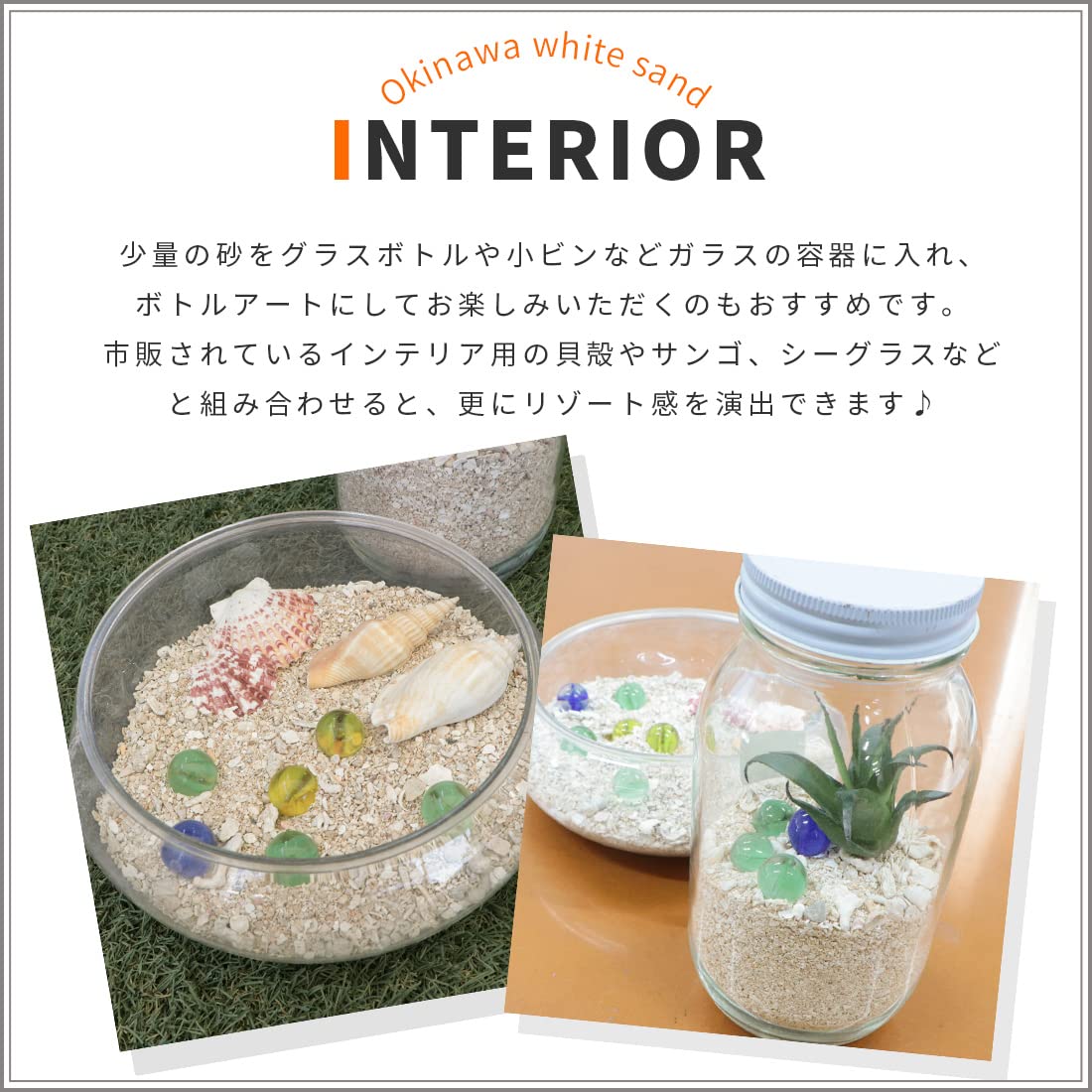 Amazon.co.jp: 東海砂利 沖縄ホワイトサンド 900g (約0.64L) 砂 海 白