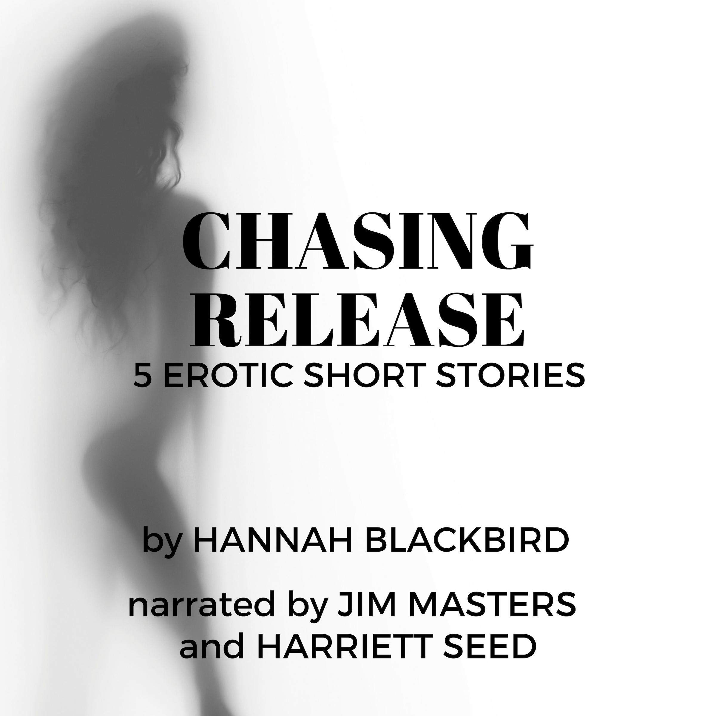 Chasing Release: A Collection of Short Erotic Stories