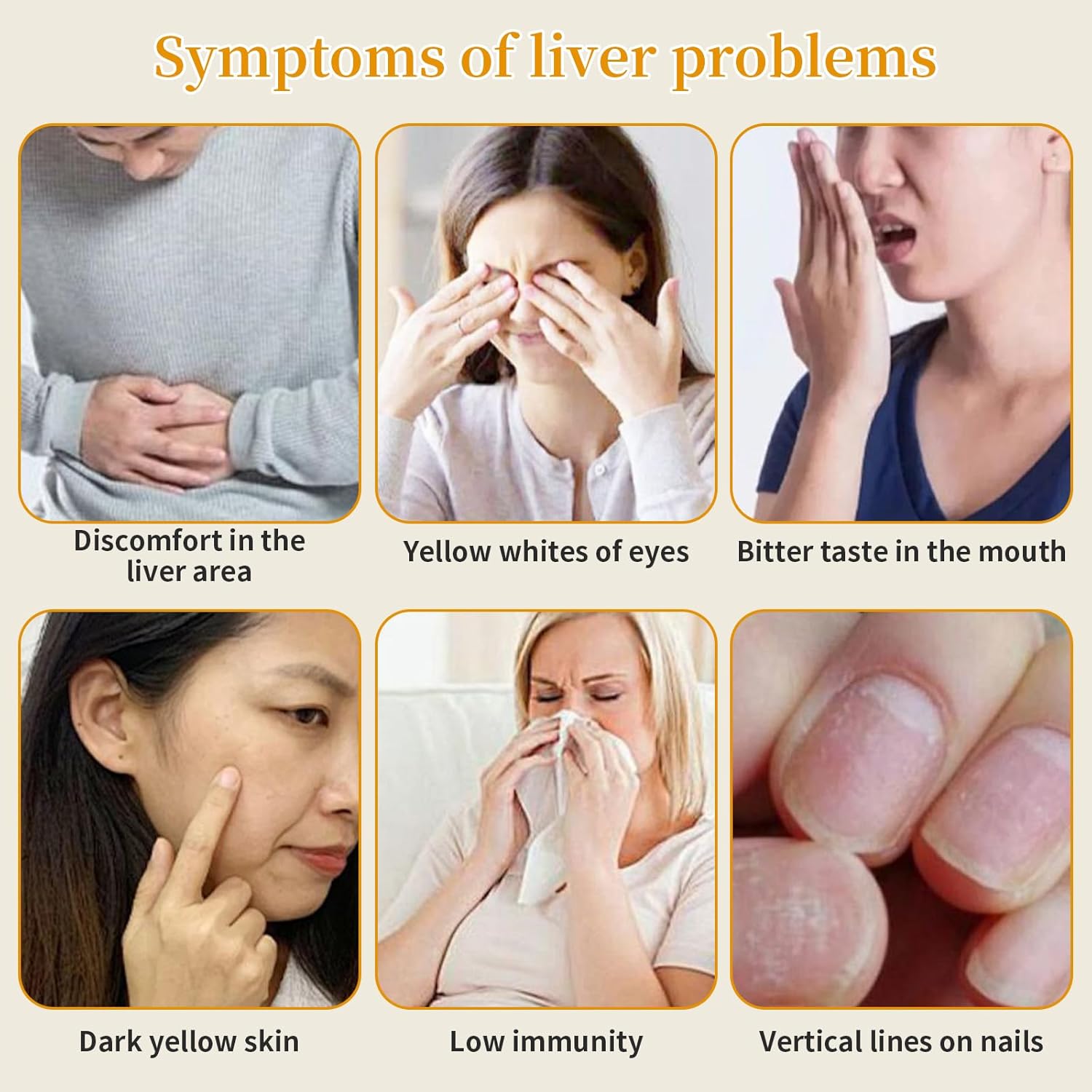 DOZO Liver Care Tea 220g/7.76oz (25 bags) Natural Chrysanthemum Wolfberry Liver Tea for Health, Dandelion Goji Berry Chrysanthemum Cassia Seed Honeysuckle Eight Chinese Dried Herbs 养肝茶 菊花决明子枸杞茶 - Image 6