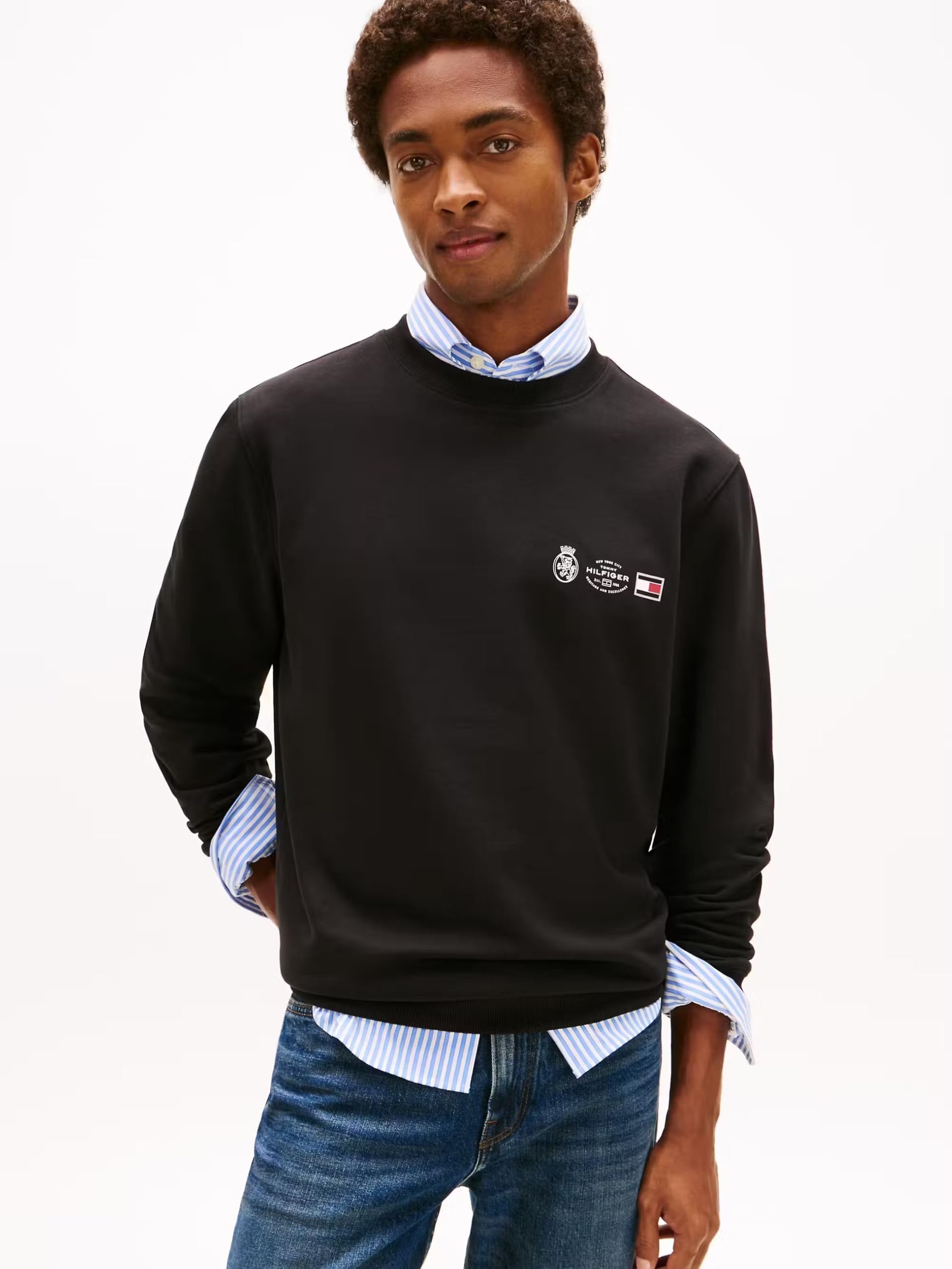 Tommy Hilfiger Męski SMALL CREST OUTLINE CREW NECK MW0MW40863 Pulower Bluza, Czarny, L, czarny (czarny), L