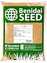 White Clover Seeds 1kg for Greenery, Shiro Clover by Hongda Trading