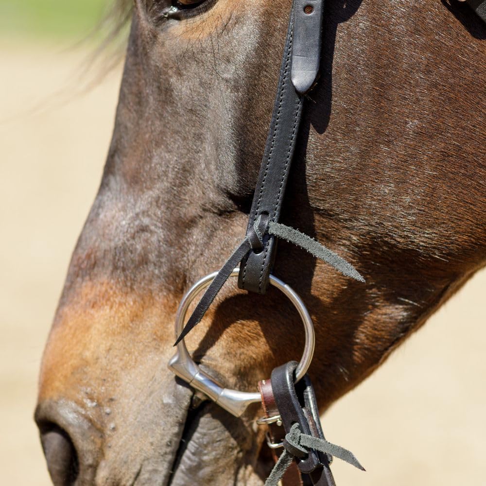Billy Royal Black Leather Browband Headstall | Full-Grain Work Headstall for Horses with Stainless Hardware | Double Adjustable Cheeks | Horse Size 35"-42" | Size Full Horse