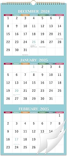 Calendario de pared 2024, calendario de 3 meses 2024, diciembre de 2023 a enero de 2025, 11.25 x 26 pulgadas, calendario de pared de 3 meses 2024,