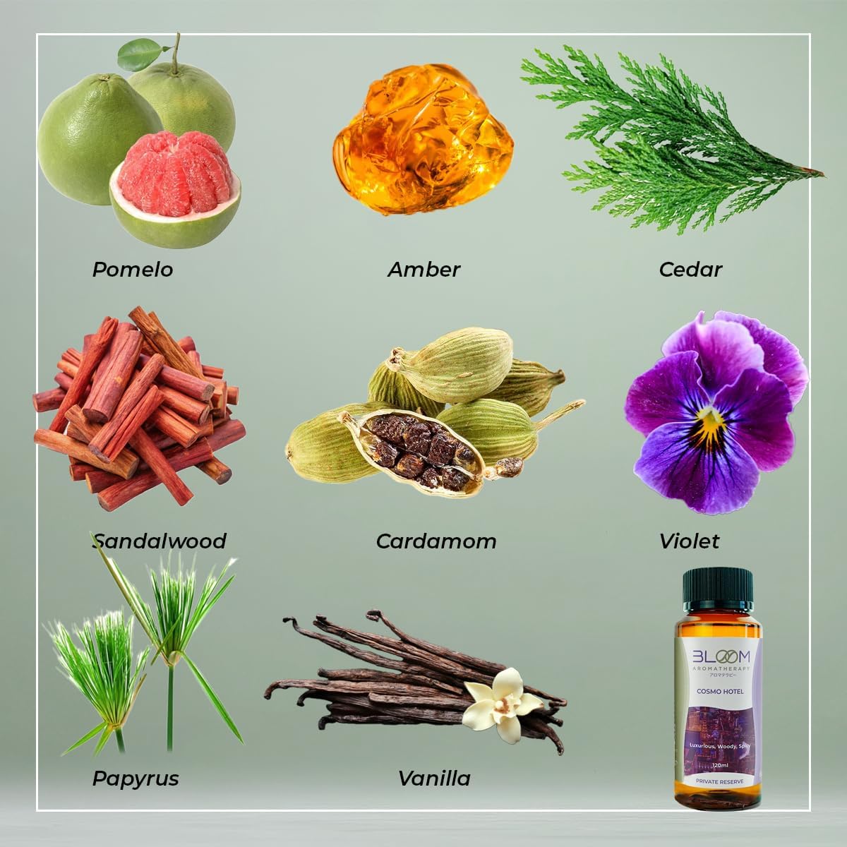 120ml Cosmo Hotel Vegas Desert Breeze Essential Oil Aroma Blend by Bloom Aromatherapy - Pet Safe, Vegan, Hypoallergenic, Premium Hotel Diffuser Oil. Fragrance Oil for waterless diffusers