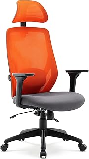 HNNHOME Recline Ergonomic Office Chair with Back Support and Headrest, Tilt Function Position Lock, Home Office Computer Desk Chair with Lumbar Support, Breathable Mesh Executive Office Chair