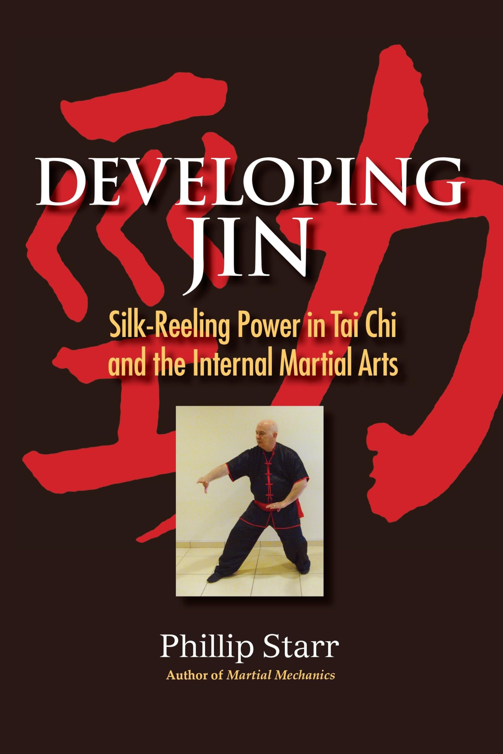 Developing Jin: Silk-Reeling Power in Tai Chi and the Internal Martial Arts By