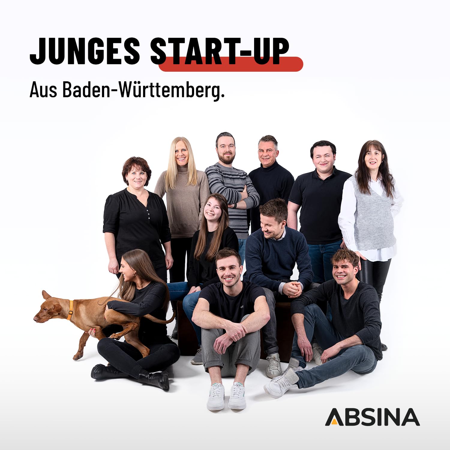ABSINA Auto Starthilfe Powerbank 1500A - 12V Starthilfegerät geeignet für 6L Benzin & 4L Diesel - KFZ Starter Powerbank mit 2 USB Ports & Taschenlampe - Jump Starter, Auto Booster Starthilfe PKW