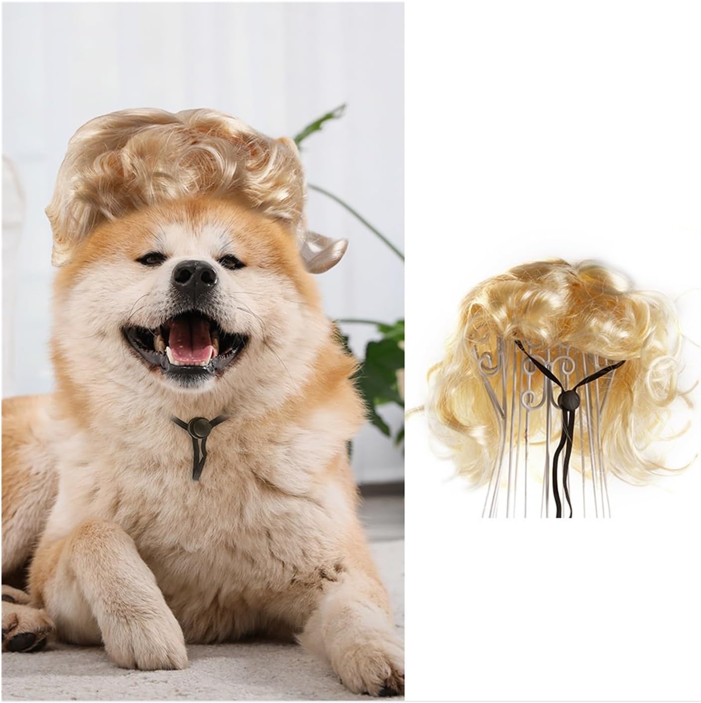 Pet Hair Costume Pet Wig Headgear, Dog and Cat Bangs Hair, Pet Dress Up Funny Holiday Supplies Funny Dog Cat Cosplay Wig (Color : C)
