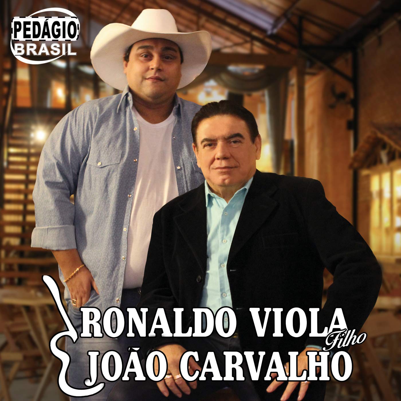 Viola Pagodeira ⧸ Pagode do Grotão ⧸ Rodeio Universitário song by ...