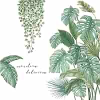 Adesivi Murali Foglie Tropicali - Decorazione Parete Soggiorno Camera - Foto 11