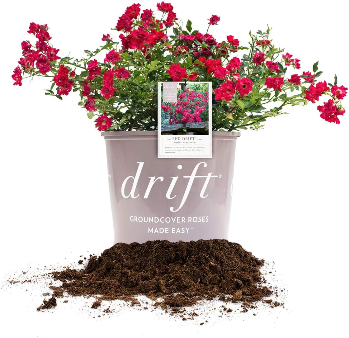 Red Drift 3 Gallon