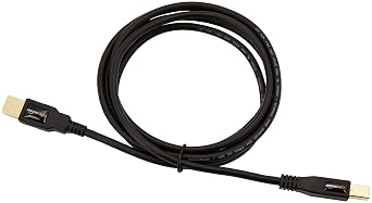 Amazon Basics USB 2.0 Cable, USB-A to USB-B, for Printer or External Hard Drive, Connect to Computer/Laptop/PC, 480 Mbps Transfer Speed, Gold-Plated Connectors, 6 Foot, Black