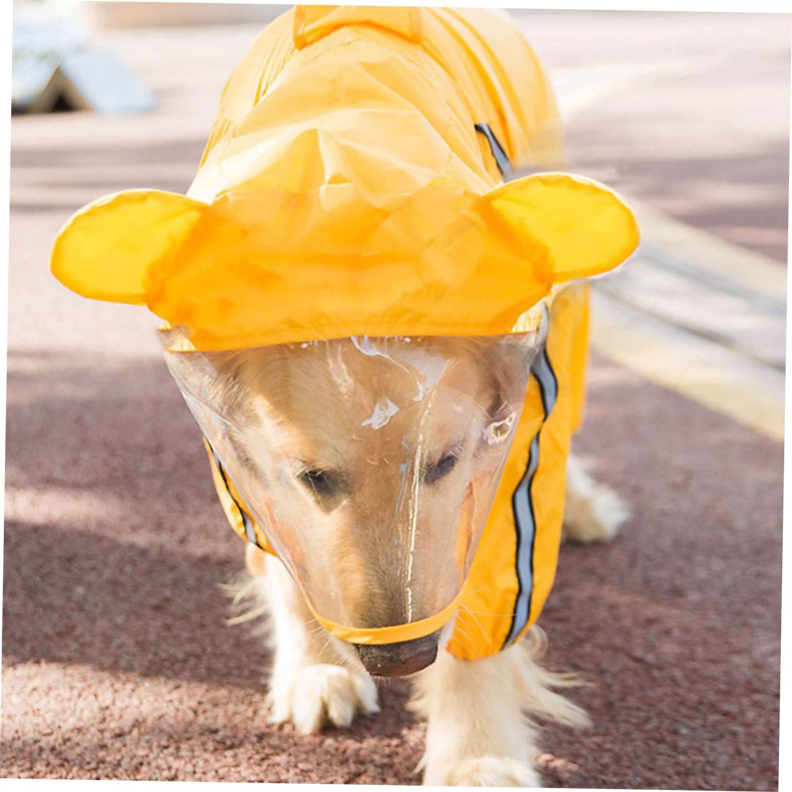 Housoutil 3pièces Manteau De Pluie Abeille pour Chien Veste Imperméable Et Mignonne pour Petits Et Moyens Chiens Élégante Et La Pluie