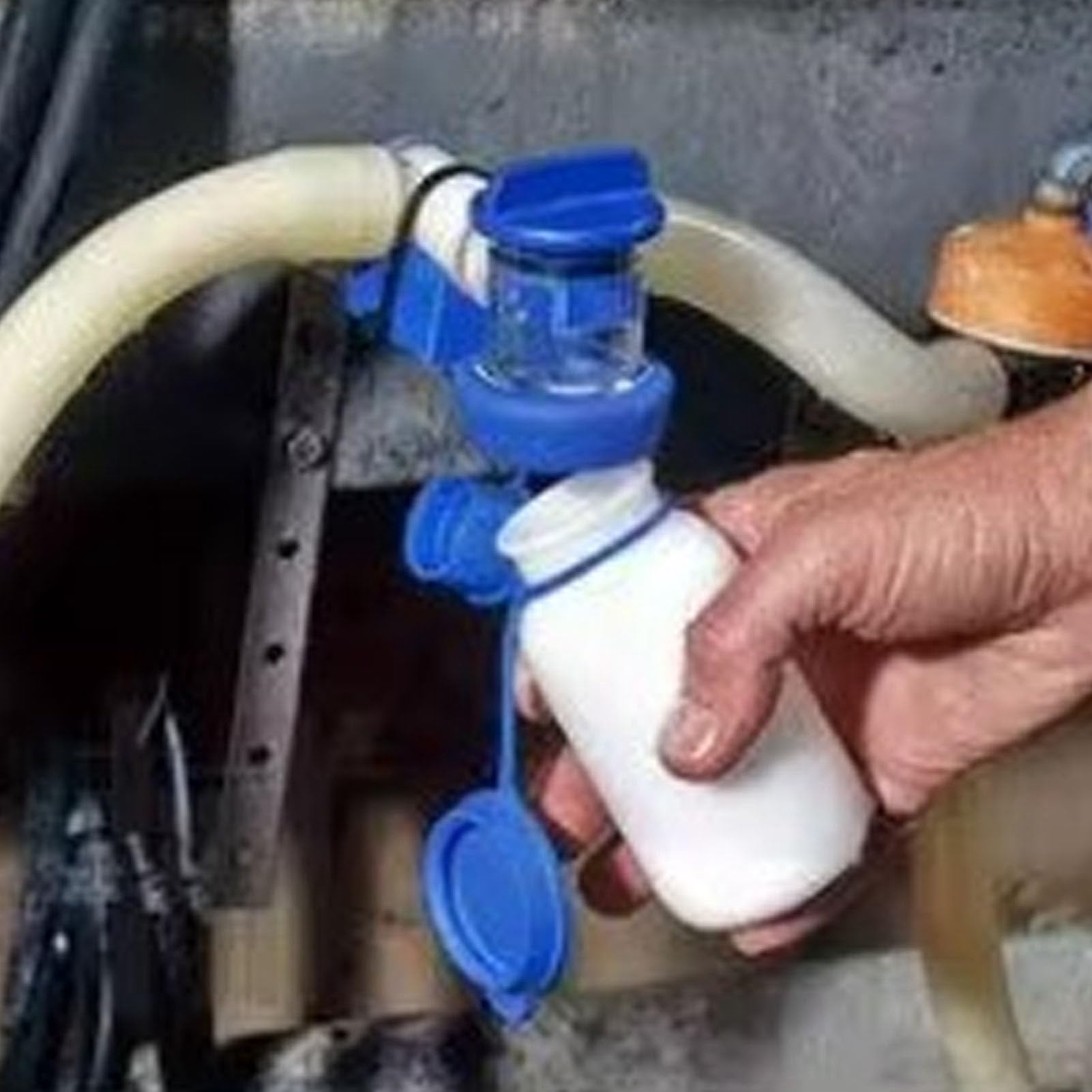 Haofy Échantillonneur de Lait pour Ferme et Élevage, Tasseur Prélèvement Laitier 200ML Efficace, conçu pour la qualité et Le contrôle de la qualité des Vaches et chèvres laitières