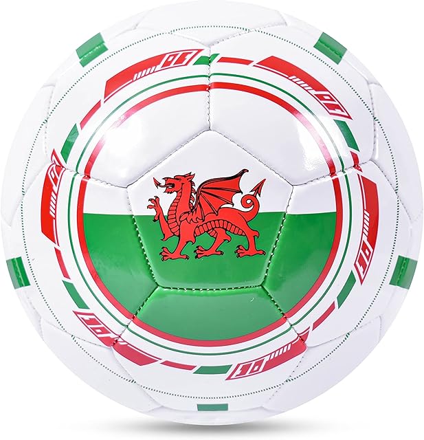 Hy-Pro Wales Size 5 32 Panel Football, White
