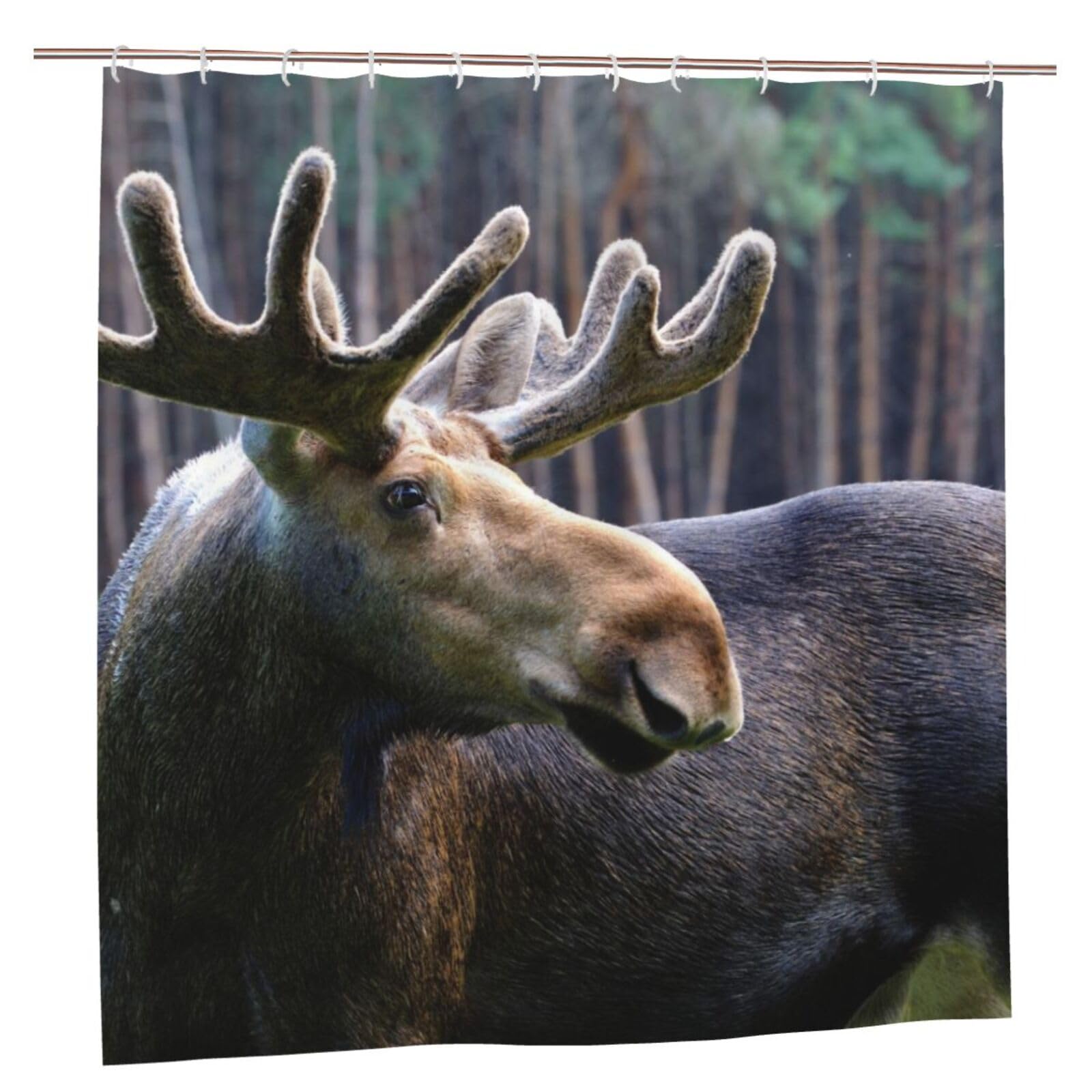 Oudrspo Polyester Fabric Shower Curtain - 70x70 Inch with Metal Grommets, Artistic Privacy Design, Moose in Their Natural Habitat