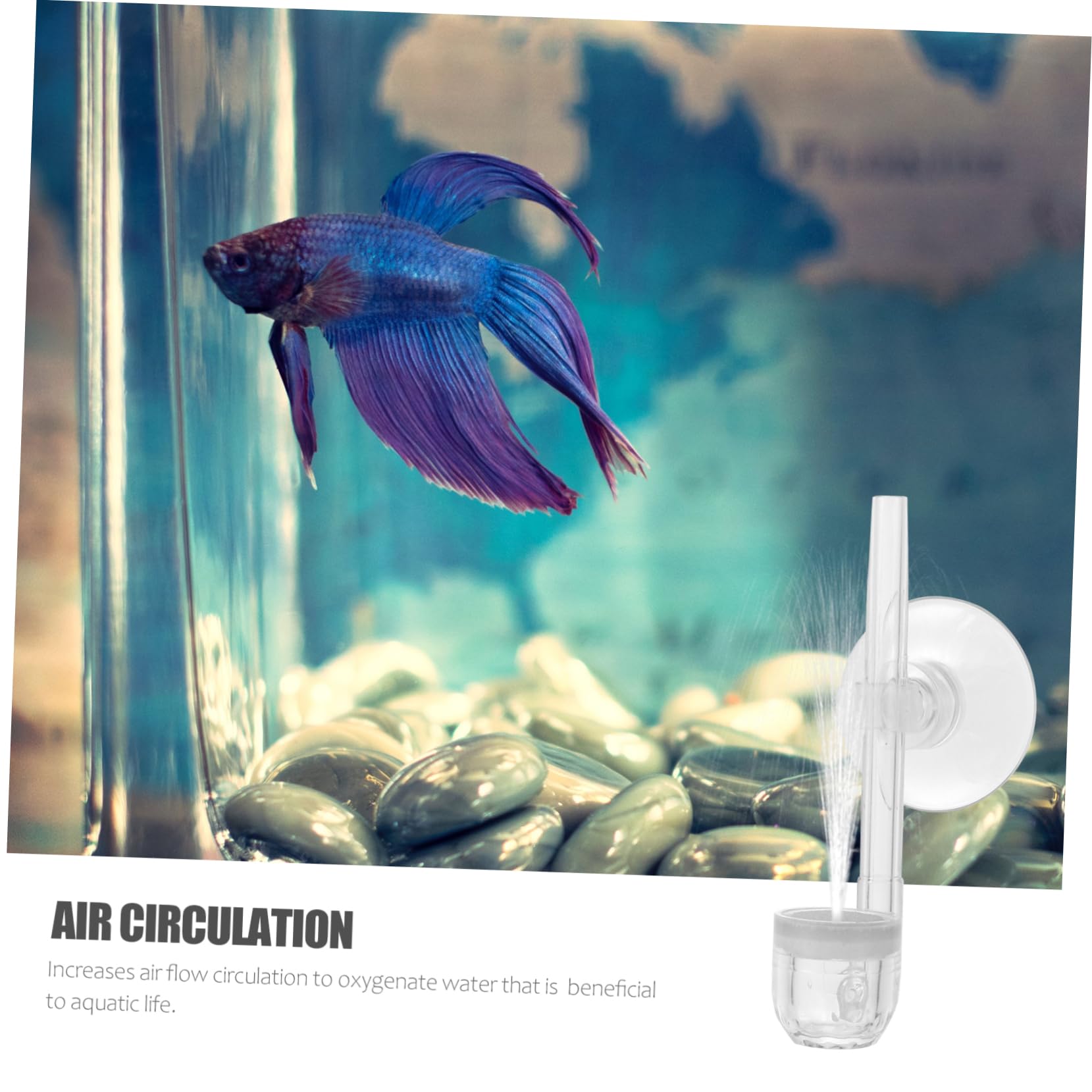 Housoutil 3stücke Aquarium Luftstein Sauerstoffdiffusor Für Fischbecken Bubbler Mit Feinen Blasen Erhöht Sauerstoffgehalt Und Sorgt Für Wasserzirkulation Für Aquarien Und Aquarienpflege