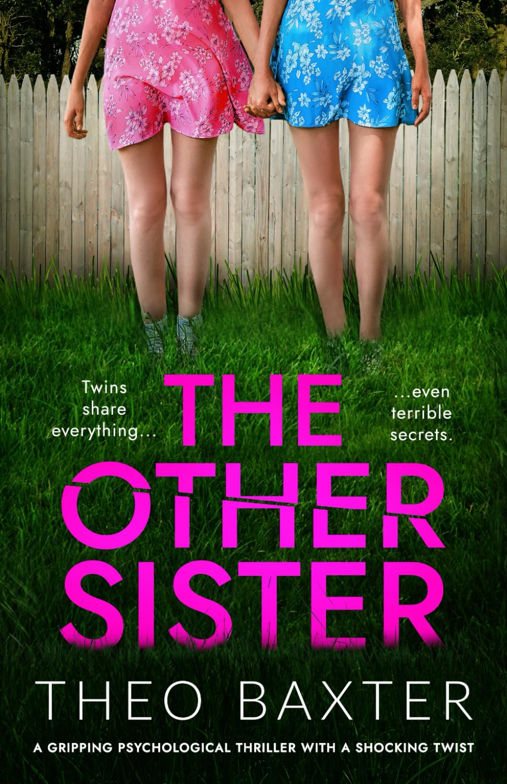 The Other Sister: a gripping psychological thriller with a shocking twist