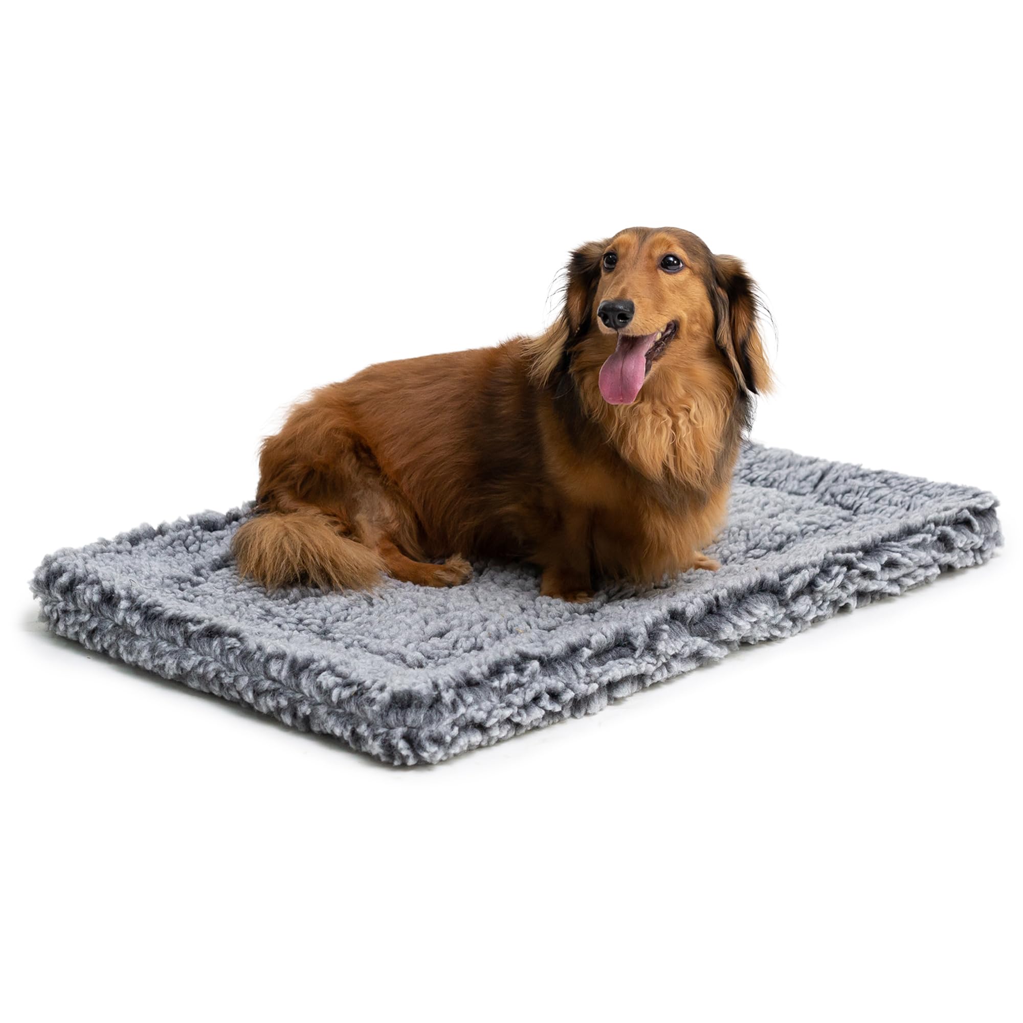 PELZIN Stoutwool Indestructible Dog Bed - Fluffy Chew Proof Dog Crate Pad - Tough Dog Kennel Pad for Aggressive Chewers - Washable, Ideal for Small Dog Breeds & Fits 24-Inch Crate - 23"x16", Charcoal