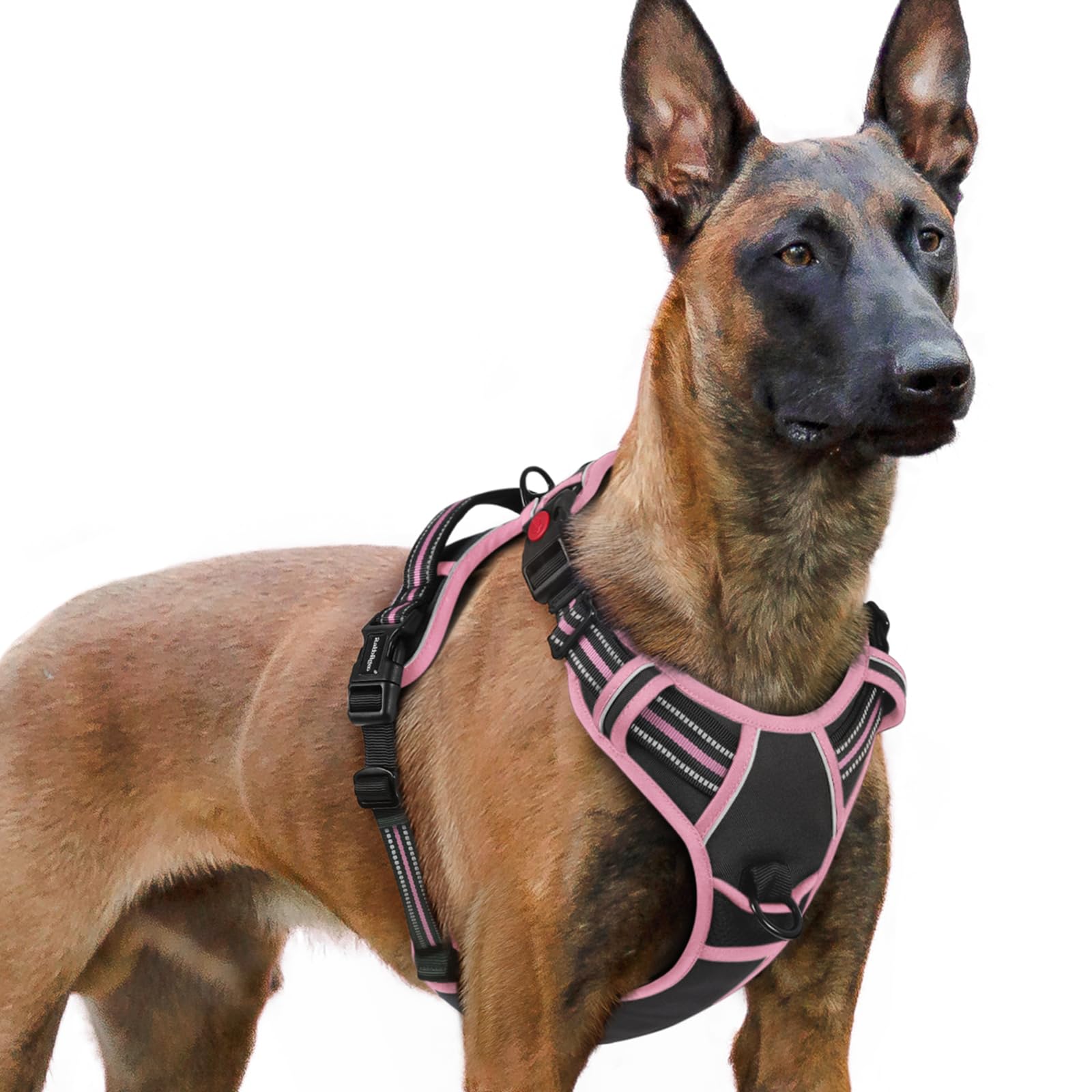 rabbitgoo Hundegeschirr Kleine Hunde, Verstellbare Geschirr Hund ohne Zug & Würgen, Anti Zug Hundegeschirr mit Griff, weich Gepolsterte Reflektierende Brustgeschirr