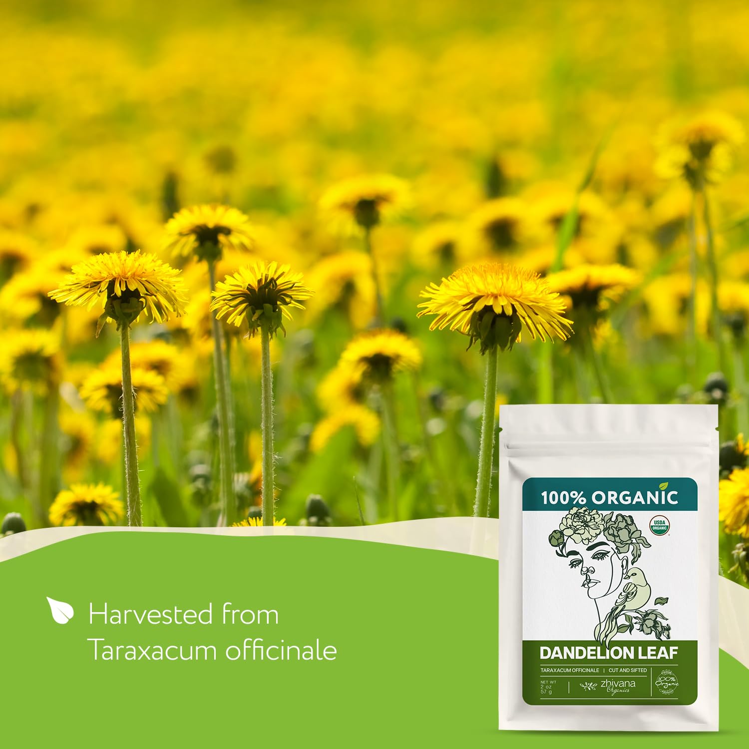 Super Value Pack 5 LB - Organic Dandelion Leaf – Loose Dried Leaves – Edible Grade for Tea, Tinctures & Herbal Use