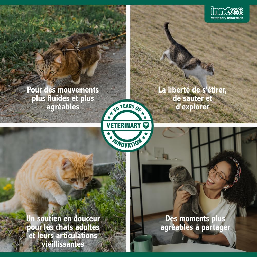 Innovet Condrostress (+) Cat - Complément Alimentaire Articulaire pour Chats Adultes et Âgés, Confort Articulaire, Mobilité, Collagène, Chondroïtine, Acide Hyaluronique, Facile à Donner - 30 gélules