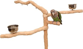 Parrot Wizard Perfect Tree for Parrots