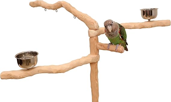 Parrot Wizard Perfect Tree for Parrots