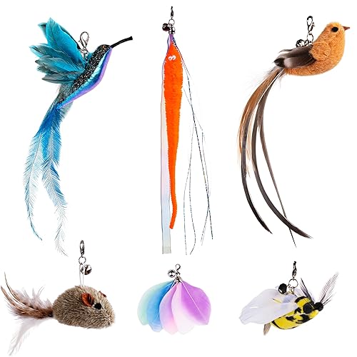 Kitten Indoor Cats Accessories - 6PCS REFILLS