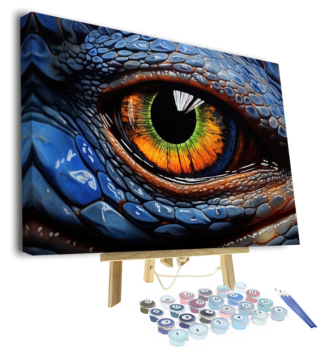 TISHIRON Paint by Numbers for Adults - DIY Adult Paint by Number Kits Painting on Canvas Eye of Dragon Painting by Numbers, Dragon's Eye Art Craft Kits for Adults (16x20 Inch, Framed)