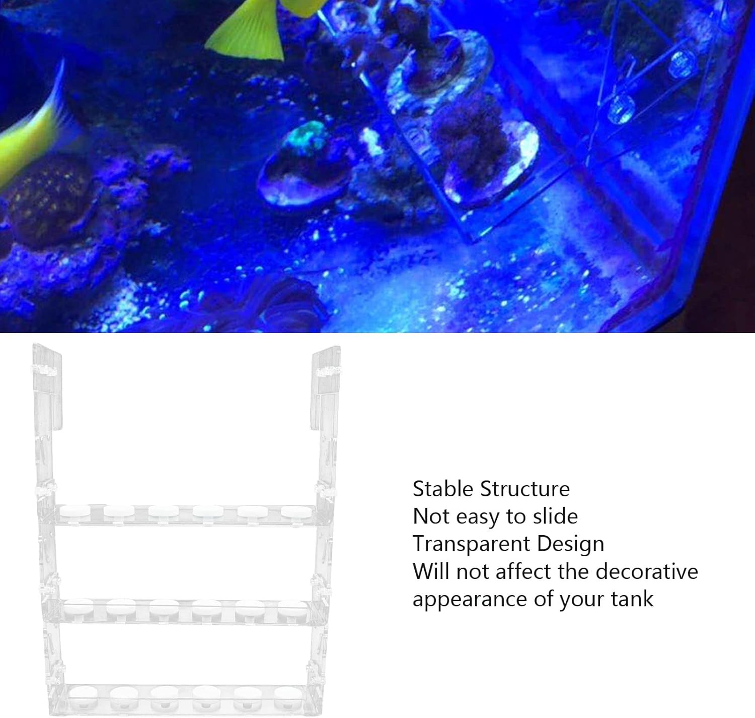 Coral Frag Rack Clear Acrylic Coral Holder Aquarium Fish Tank Button,Clear Acrylic Vertical 3-Tier Coral Fragment Holder for Fish Tanks (Ideal for Coral Cultivation and