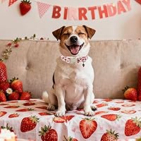 Vista 107 de DOGWONG Collar de perro Airtag de algodón y cáñamo, collar resistente para perros con soporte para Airtag, collares verdes para perros pequeños