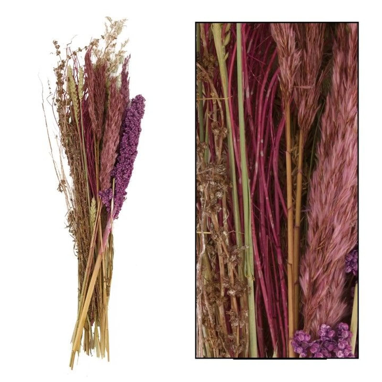 DIJK Bouquet de fleurs séchées, violettes, 80 x 26 x 17 cm