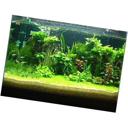 Amazon Amleso 壁紙 背景ポスター タンクステッカー 3d 片側 水族館 宇宙風景ポスター アクアリウム内装 貼り付け 全6サイズ 122 61cm Amleso バックグラウンド 背景 通販