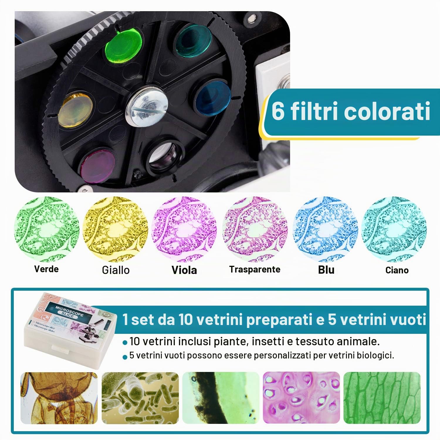 Microscopio per Bambini Studenti Adulti 250X-2000X Composti Biologic Microscopio Ottico per l'istruzione di ricerca scientifica biologica domestica del laboratorio scolastico