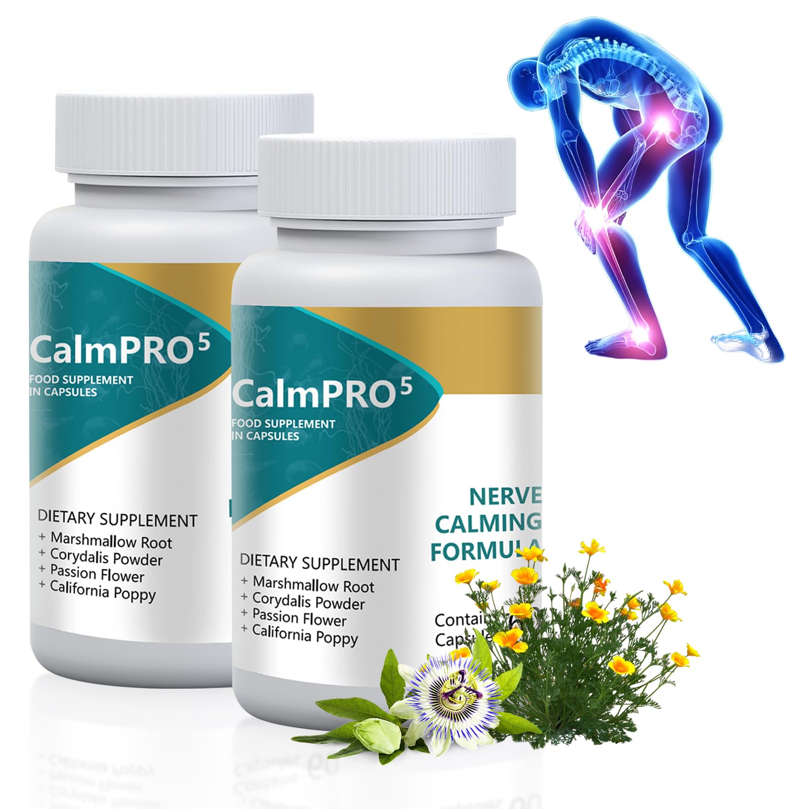 Supplements To Relax Nerves | 5 Nervous System Health Supplements to ...