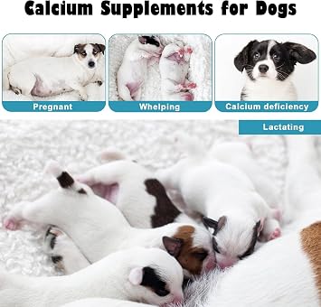 Calcium for Whelping Dogs(30 ml Paste), Fast Absorbing Calcium Supplement for Dogs Nursing, Whelping, Calcium Deficiency, Supporting Efficient Labor and Milk Production