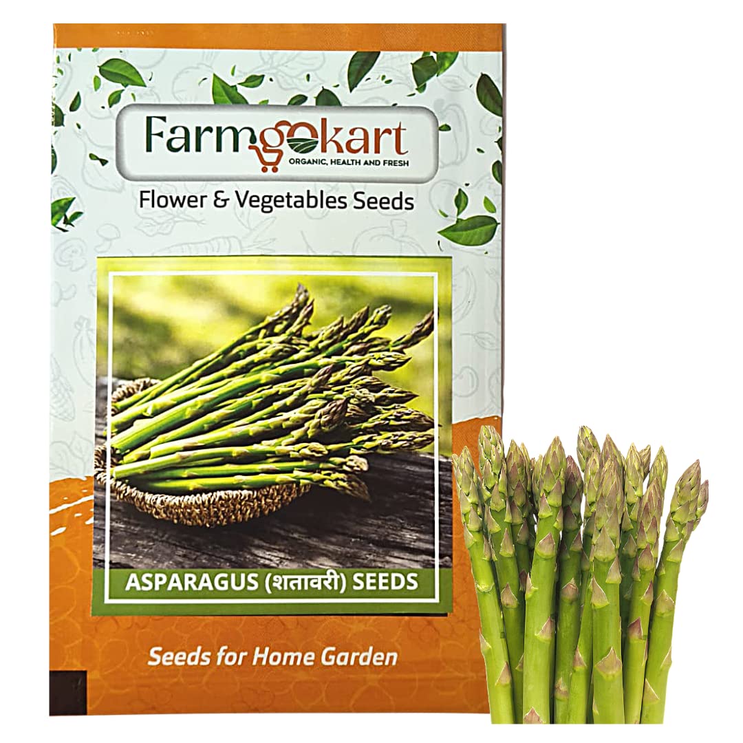 Farmgokart |10 Gms - ASPARAGUS Seeds| Approx 550 seeds per packet | High Germination Quality Vegetable and Herbs Seeds Pouch | for Home Gardening, Farming and Planting (B0BNVN9X96) Amazon Price History, Amazon Price Tracker