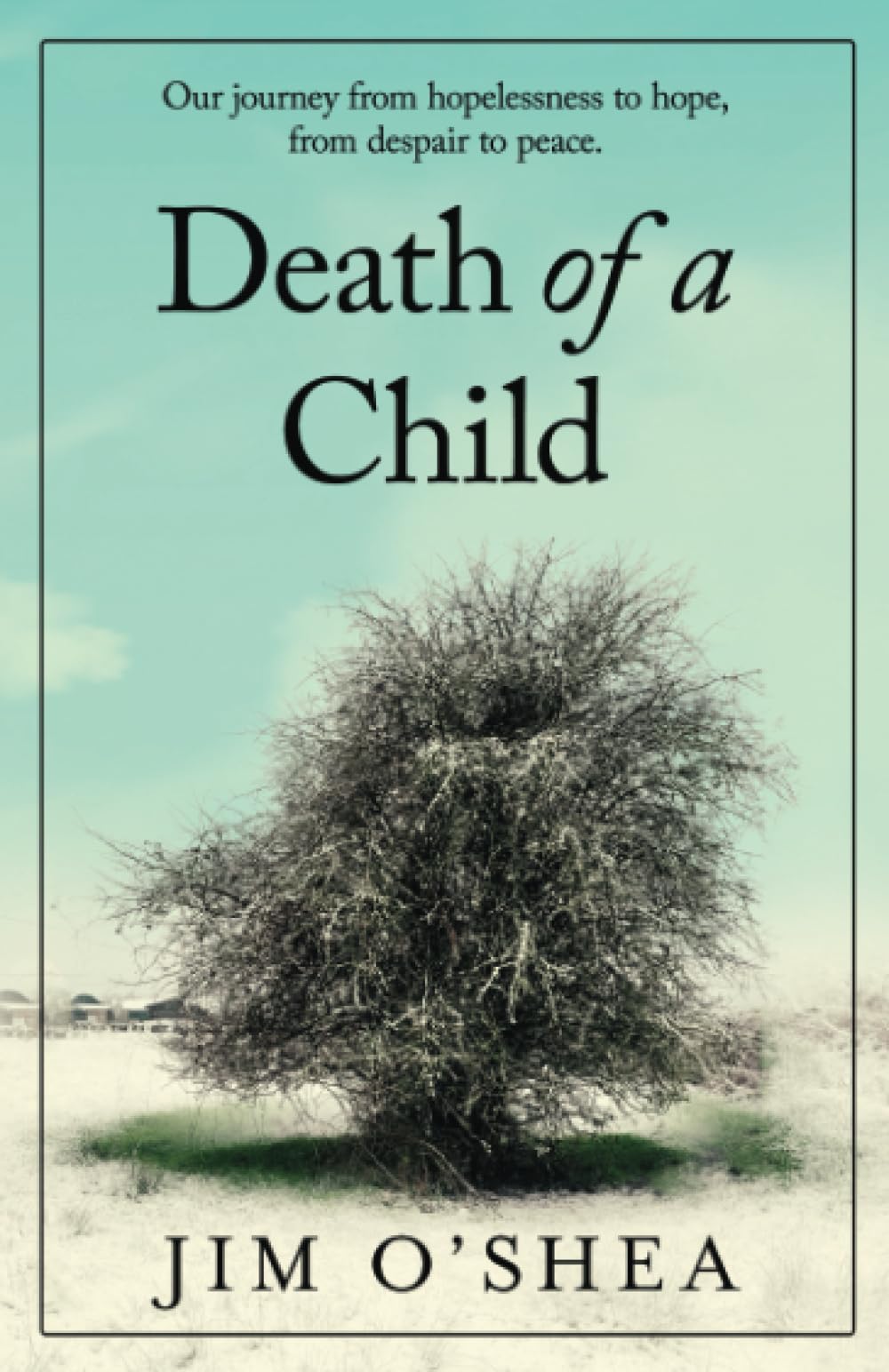 The Death of a Child: Our Journey from Hopelessness to Hope, From Despair to Peace