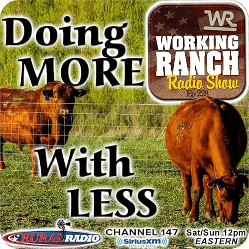 Page de couverture de Ep 228: Doing More with Less: Precision Ranching with Chip Kemp