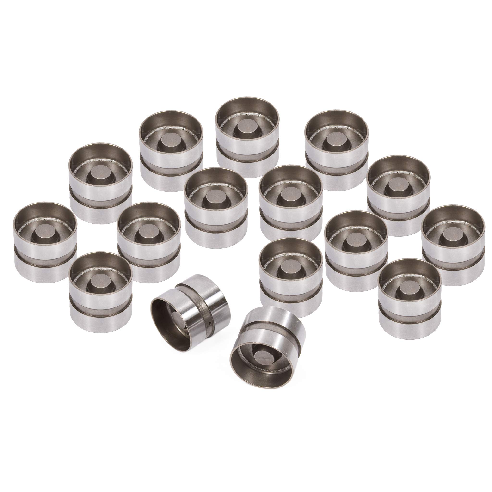 Amazon.com: Evergreen LF8006(16)-2 Hydraulic Lifters Compatible