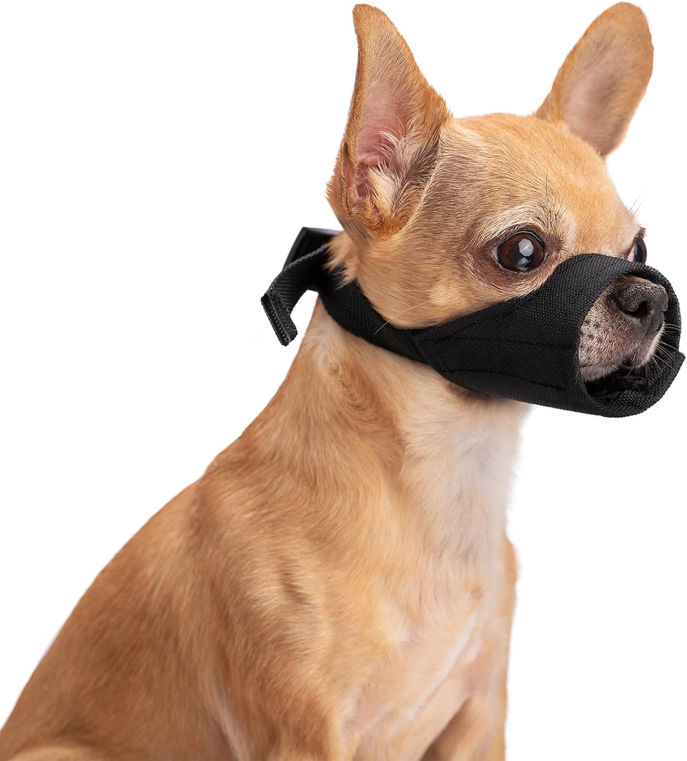 Winmany Small Dog Muzzles, Soft Short Snout Dogs Muzzle to