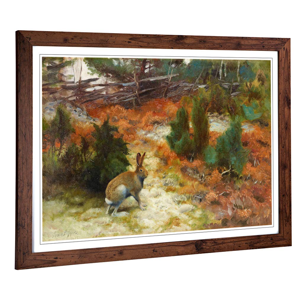 Big Box Art Framed Print of Bruno Liljefors Hare Rabbit Design | Wall Art Picture | Home Decor for Kitchen, Living, Dining Room, Bedroom, Hallway, Office, Walnut, A2 / 24.5x18 Inch / 62x45cm