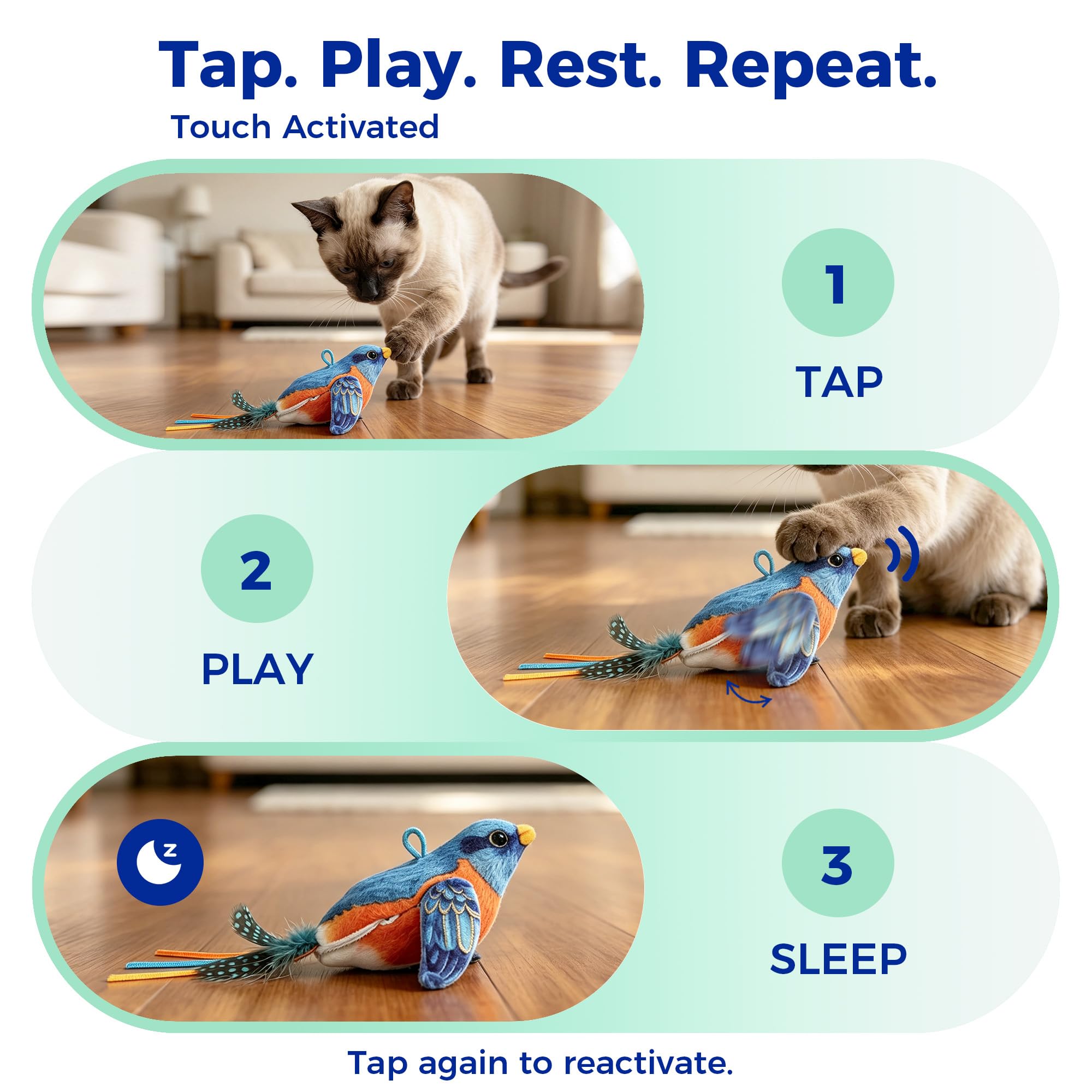 Jouet interactif pour chat d'intérieur – Jouet pour chat d'intérieur – Jouet pour chat – Activé par le toucher – Jouet rechargeable pour toutes les races – Avec 5 housses d'oiseaux et