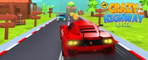 Crazy Highway Racer