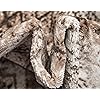 Product Photo 7